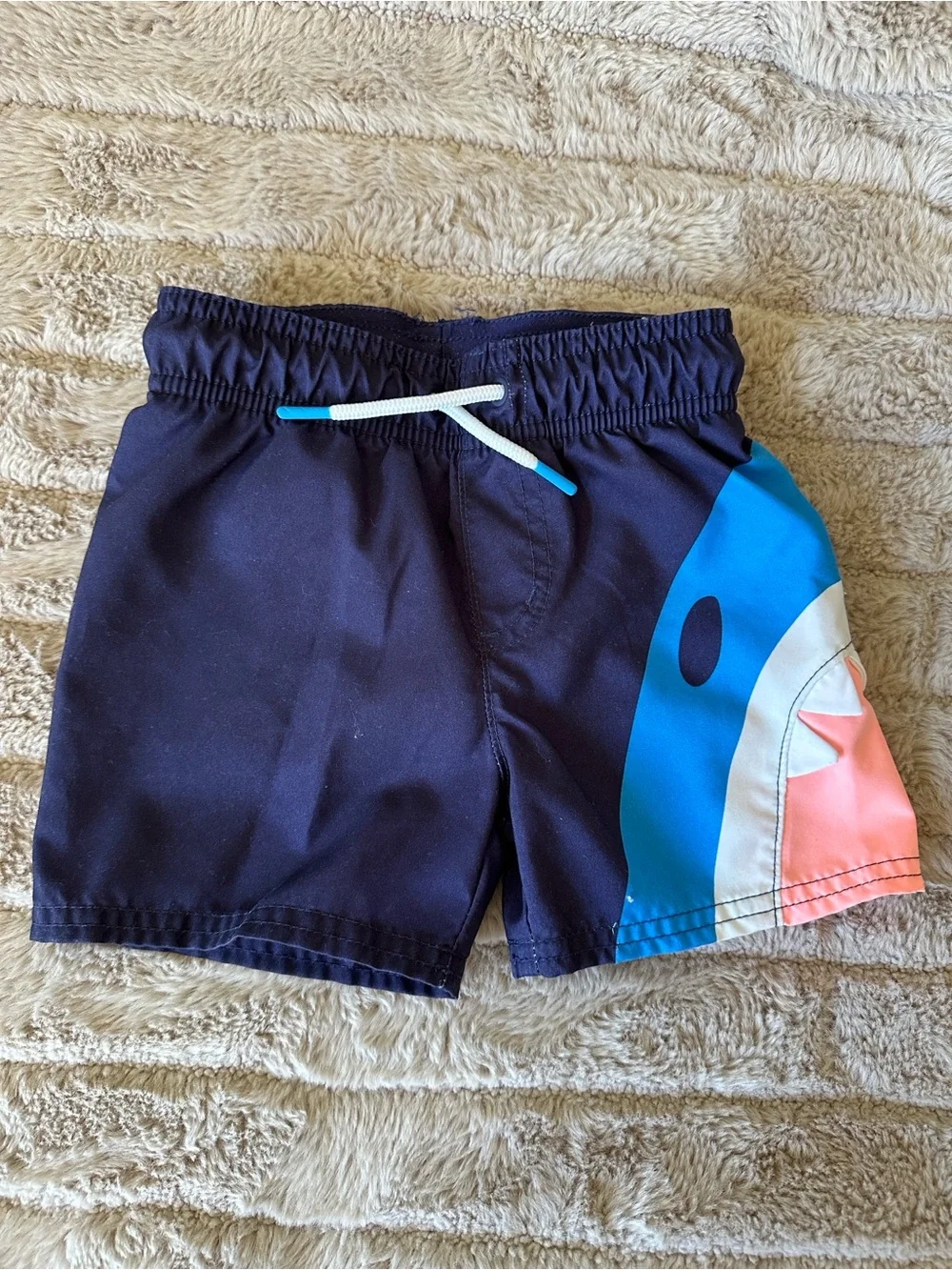 Cat & Jack Boys' Multicolor Logo and Stripe Swim Shorts Set